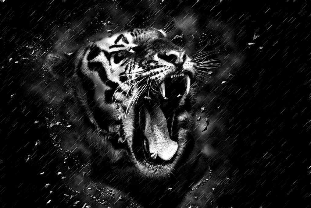 Фотообои Свирепый тигр