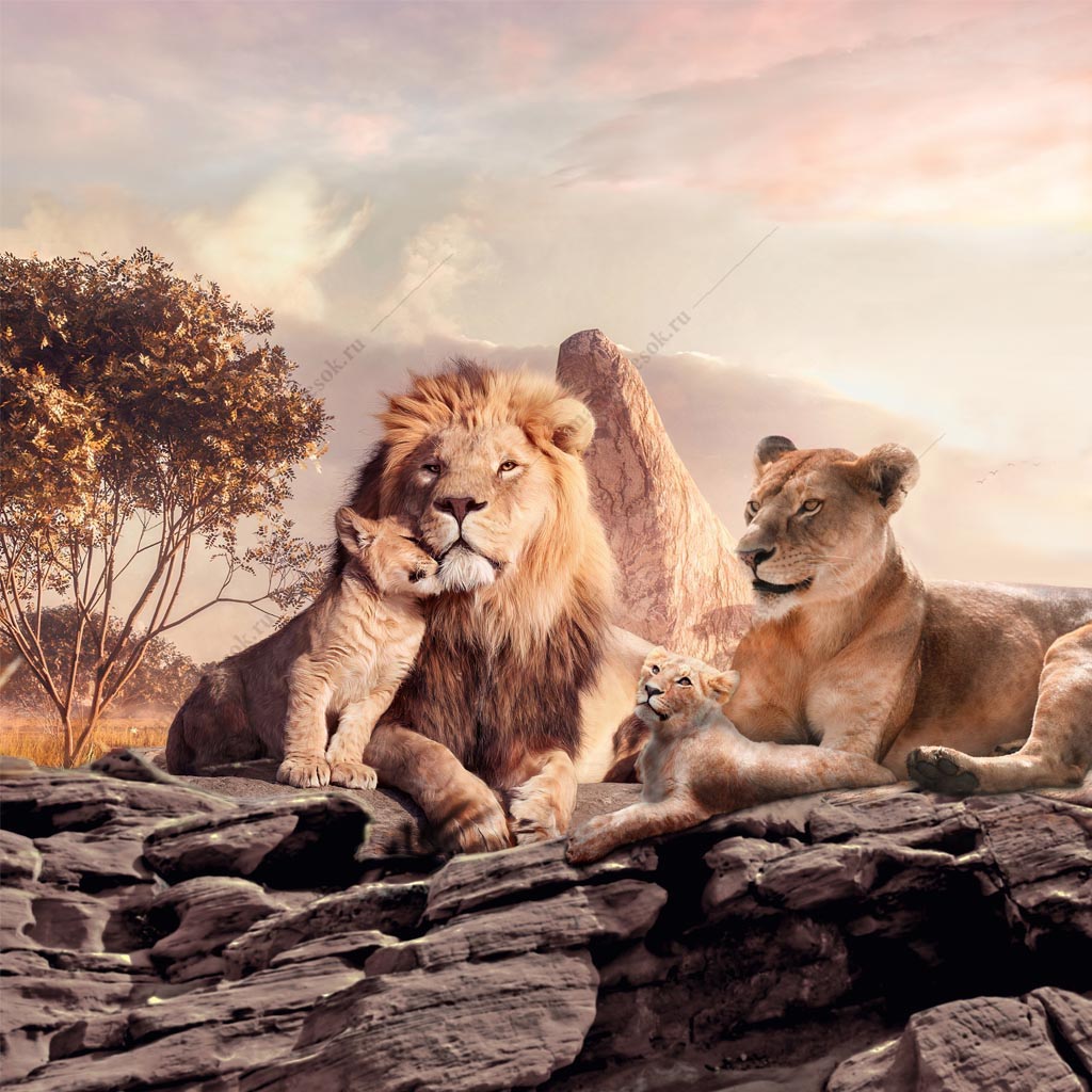 Фотообои Семейство львов